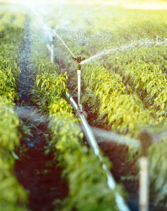 irrigation system service